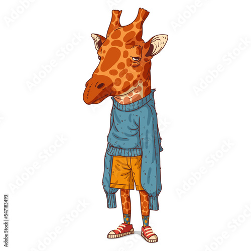 A Giraffe Person, isolated vector illustration. Cartoon picture of a thoughtful giraffe in an oversized long-sleeved sweatshirt. An anthropomorphic giraffe on white background. An animal character.