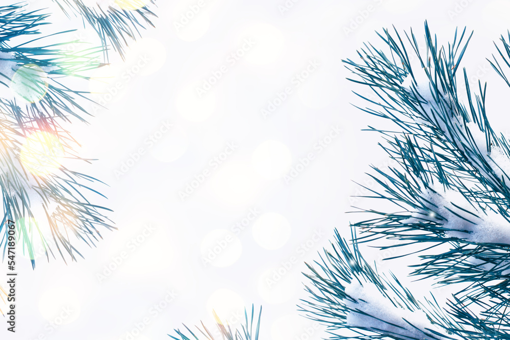 The branches of the snow covered tree The branches of the snow covered tree