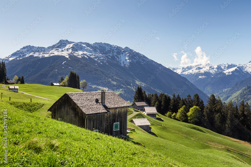 Frühlingshafte Landschaft im Montafon (Bartholomäberg / Montafon / Vorarlberg / Österreich)