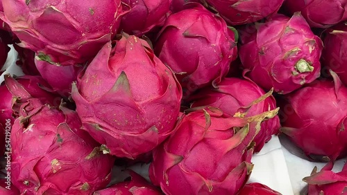 Picking pitayas (Dragon Fruits) at the market. Concept of healthy life, agriculture life or buying fruits. photo