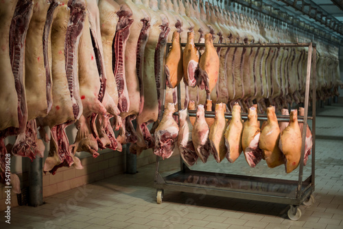 Meat processing in the meals industry, the employee cuts uncooked pig, storage in refrigerator, pork carcasses striking on hooks in a meat manufacturing facility.
