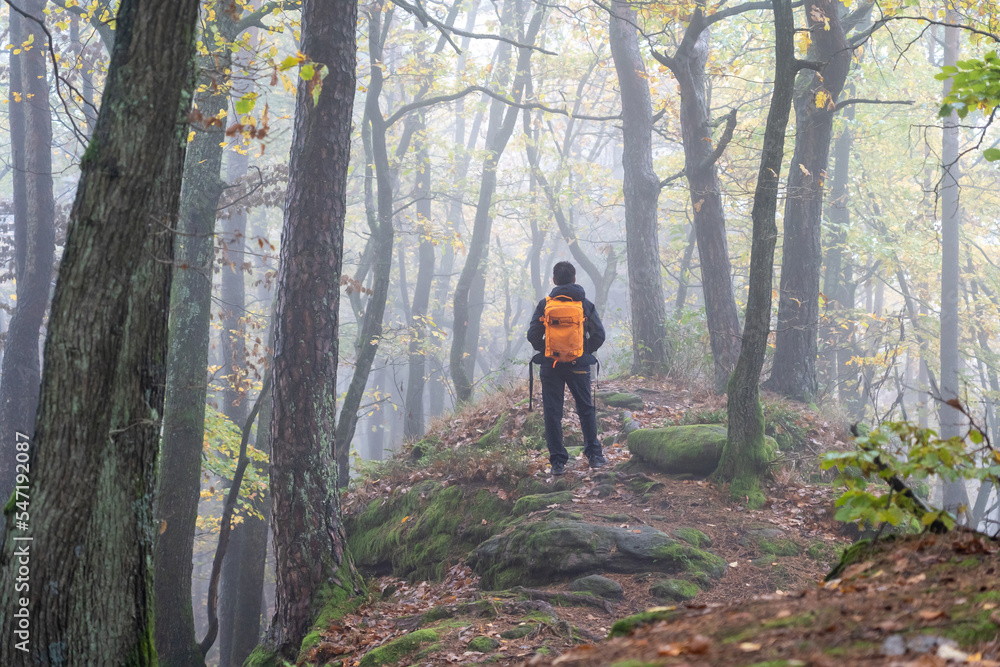 Daher Felsenland in der Pfalz. Wandern im Herbst Daher Felsenland in der Pfalz. Wandern im Herbst