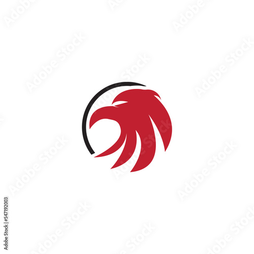 Falcon Logo Template vector © Nur