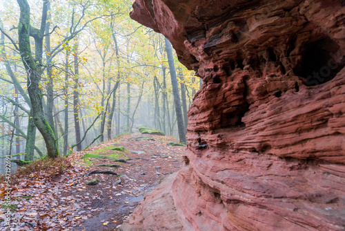 Daher Felsenland in der Pfalz. Wandern im Herbst photo