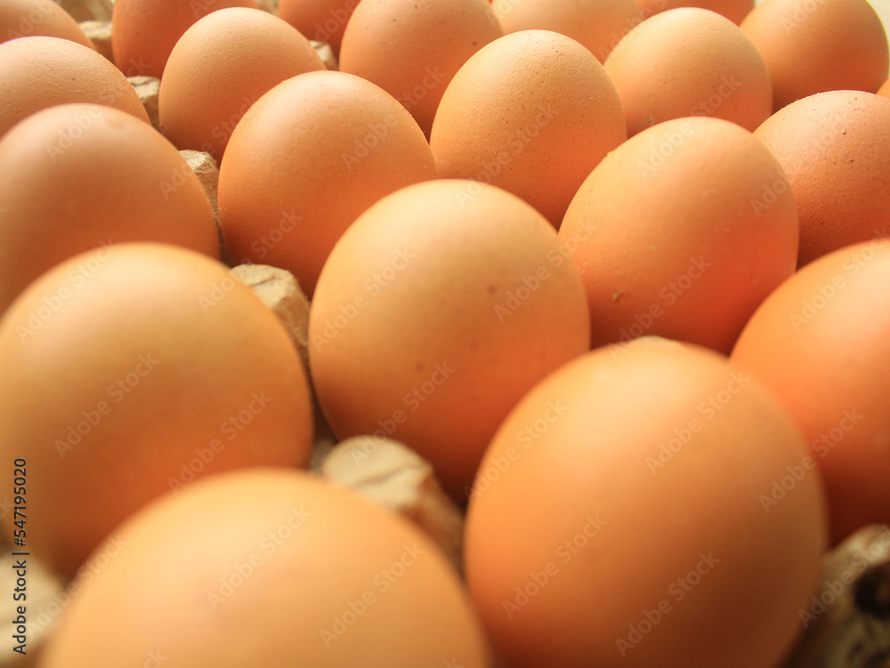 Raw chicken eggs in carton tray, closeup Raw chicken eggs in carton tray, closeup