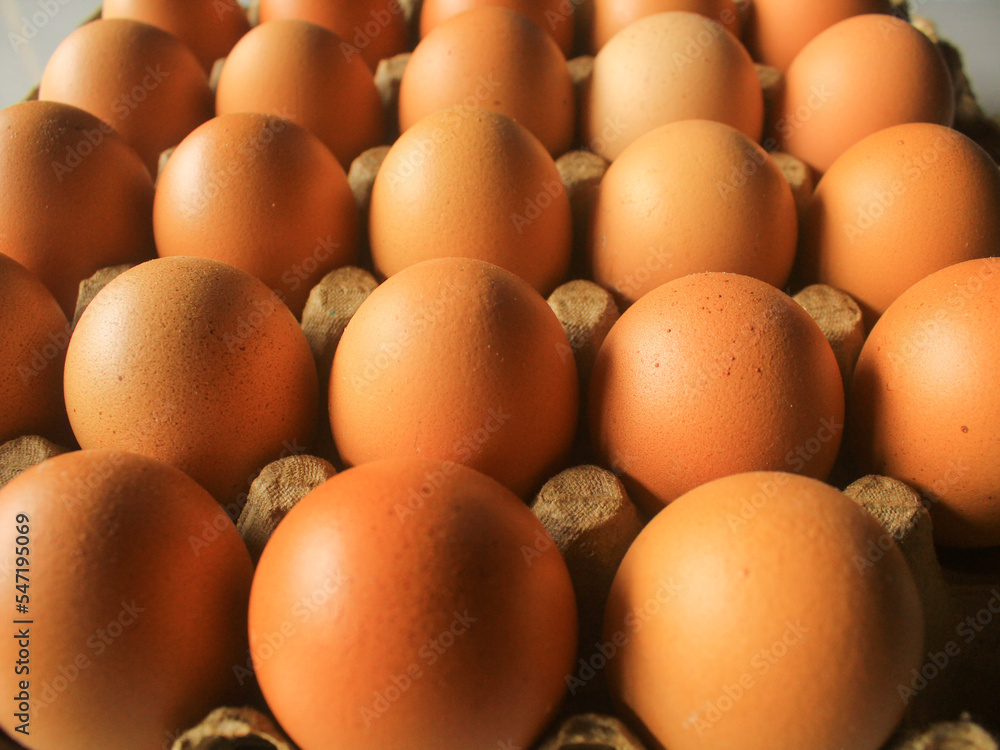 Raw chicken eggs in carton tray, closeup Raw chicken eggs in carton tray, closeup
