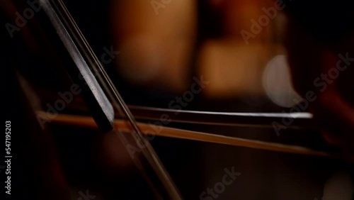 macro strings of the double bass while playing at a concert, the musician moves the bow
