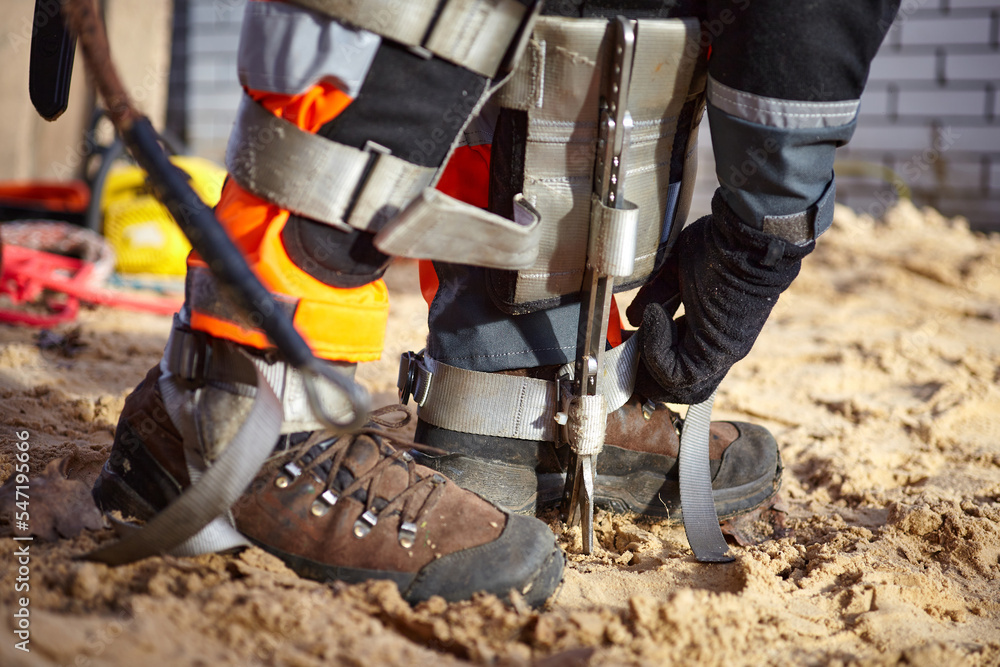 Tree surgeon. Working with a chainsaw. Sawing wood with a chainsaw. Tree surgeon. Working with a chainsaw. Sawing wood with a chainsaw.