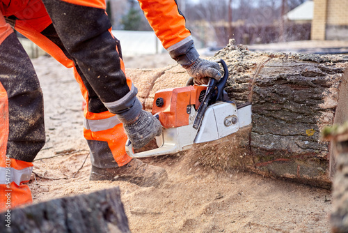 Tree surgeon. Working with a chainsaw. Sawing wood with a chainsaw.