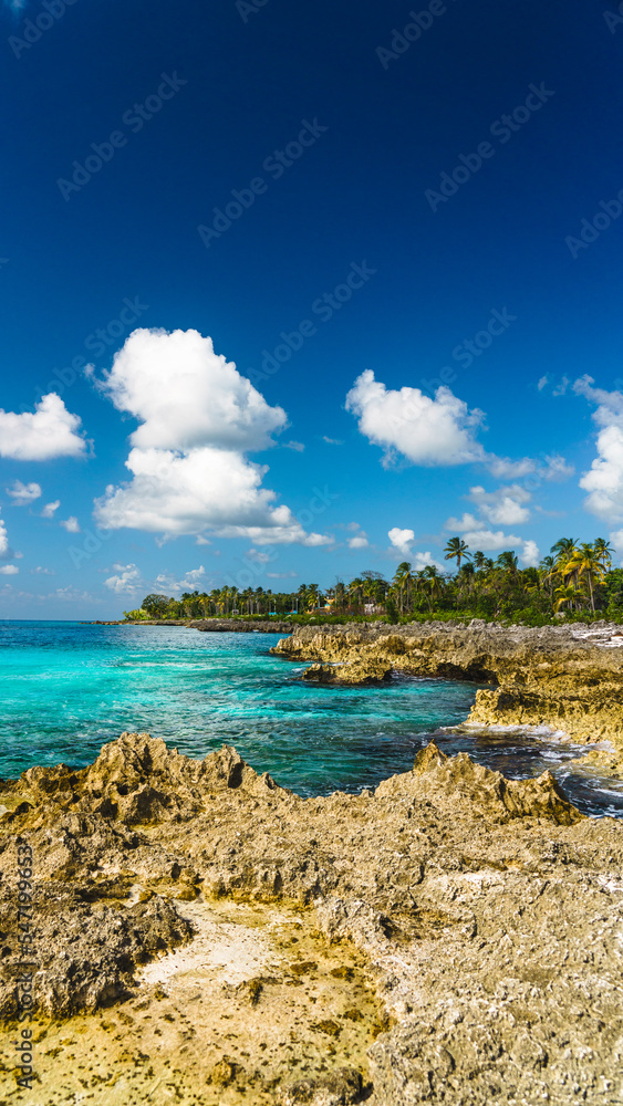 Fototapeta premium Playa de aguas turquesas con palmeras paisaje increíble 