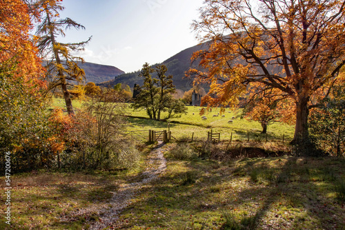 Autumn landscape in the UK.