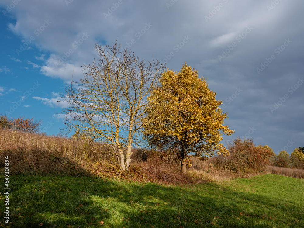 Feldweg Natur Herbst Marburg Feldweg Natur Herbst Marburg