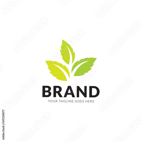 Tree leaf vector logo design, eco friendly concept.