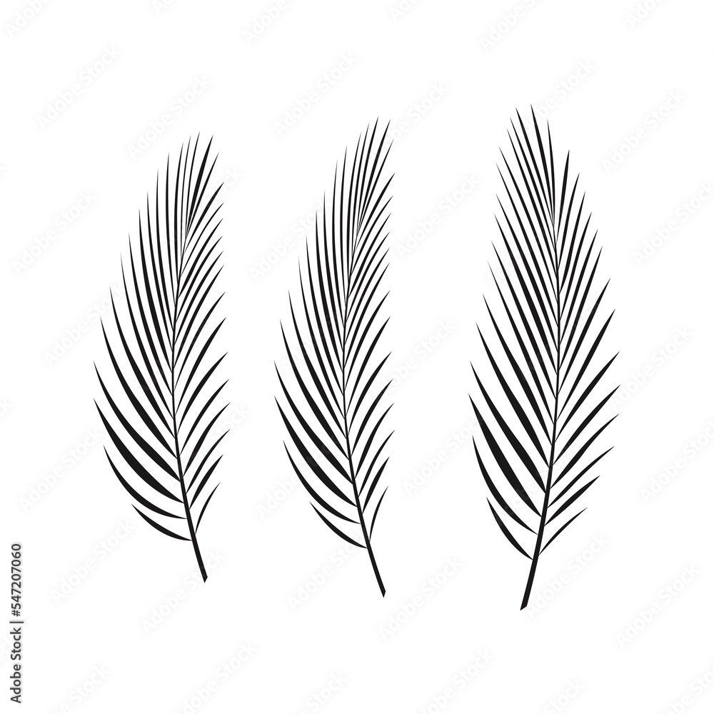 vector isolated exotic palm leaves on a white background. vector isolated exotic palm leaves on a white background.