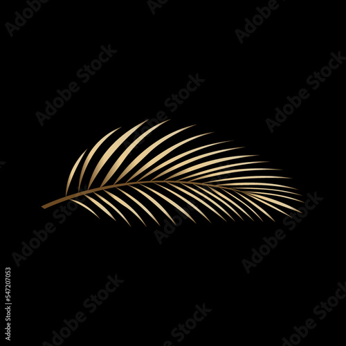 vector isolated exotic palm leaves on a white background.