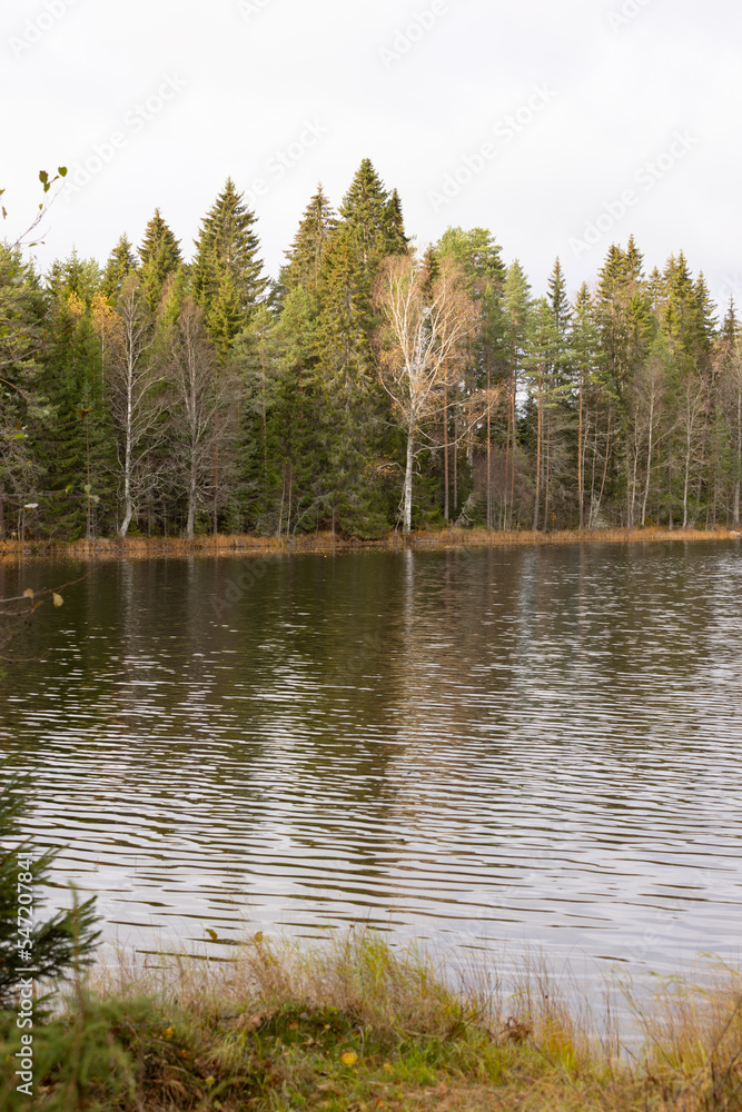 Obraz premium Late autumn lake view in Eastern Finland