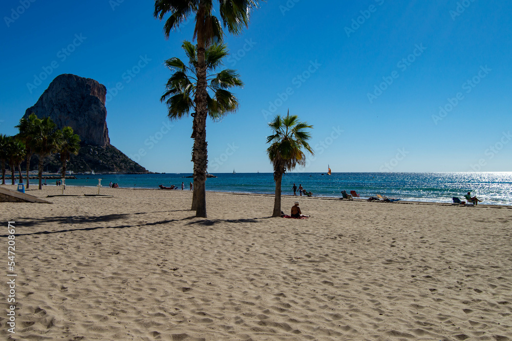 Panorámica de la playa de la costa blanca en Calpe con las palmeras en la arena con el cristalinos mar Mediterráneo y el peñón ifach de fondo.
