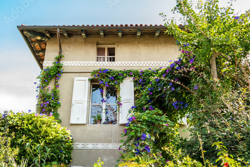 House with purple climbing bluebell flowers