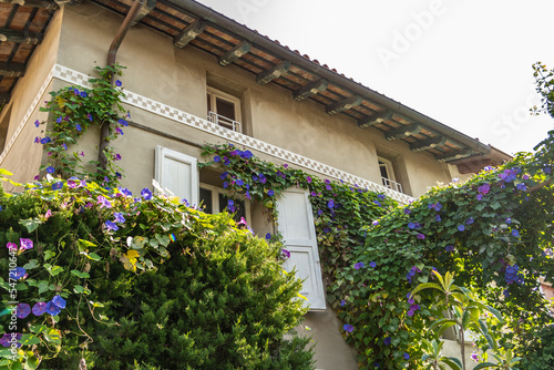 House with purple climbing bluebell flowers