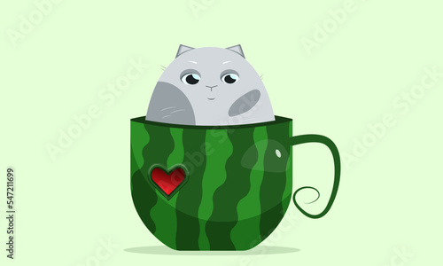 cat cute fynny in cup watermelon photo