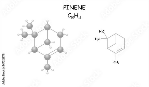Stylized molecule model/structural formula of pinene.
