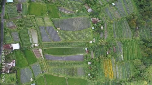 Bali, Indonesia - November 12, 2022: The Scenery of Munduk area at North Bali photo