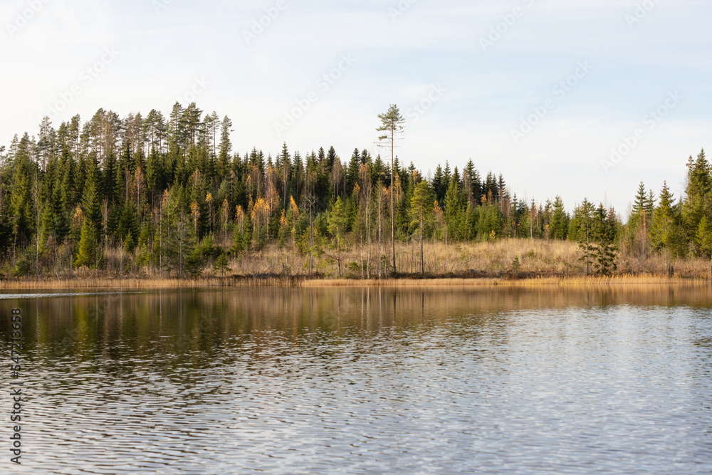 Late autumn lake view in Eastern Finland Late autumn lake view in Eastern Finland
