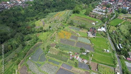 Bali, Indonesia - November 12, 2022: The Scenery of Munduk area at North Bali photo