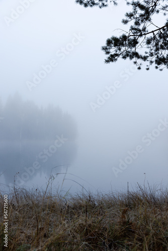 Foggy and cold late autumn morning by the lake in Finland. Island surounded by the fog.
