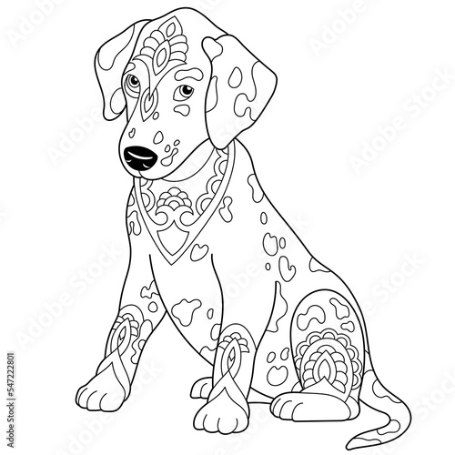 Cute friendly dalmatian dog. Adult coloring book page in mandala style.
