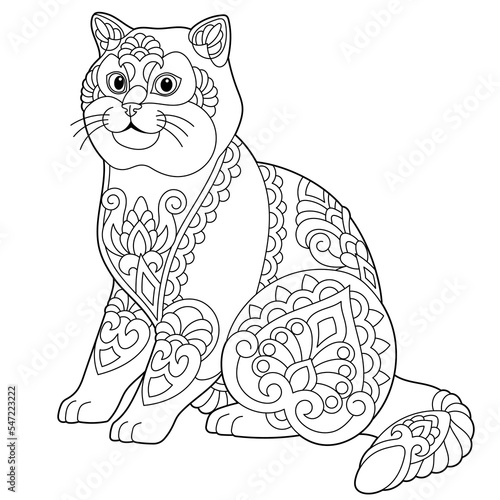 Cute British shorthair cat. Adult coloring book page in mandala style.