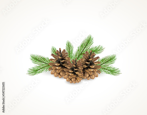 Winter christmas design with green pine branches and dry cones isolated on white background. Objects for new year card. Realistic vector illustration.