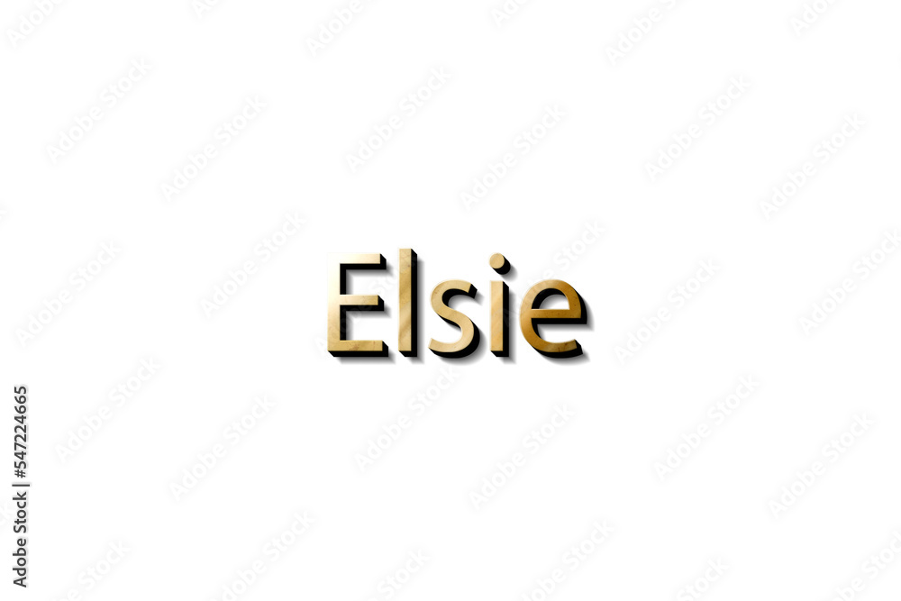 ELSIE 3D MOCKUP ELSIE 3D MOCKUP