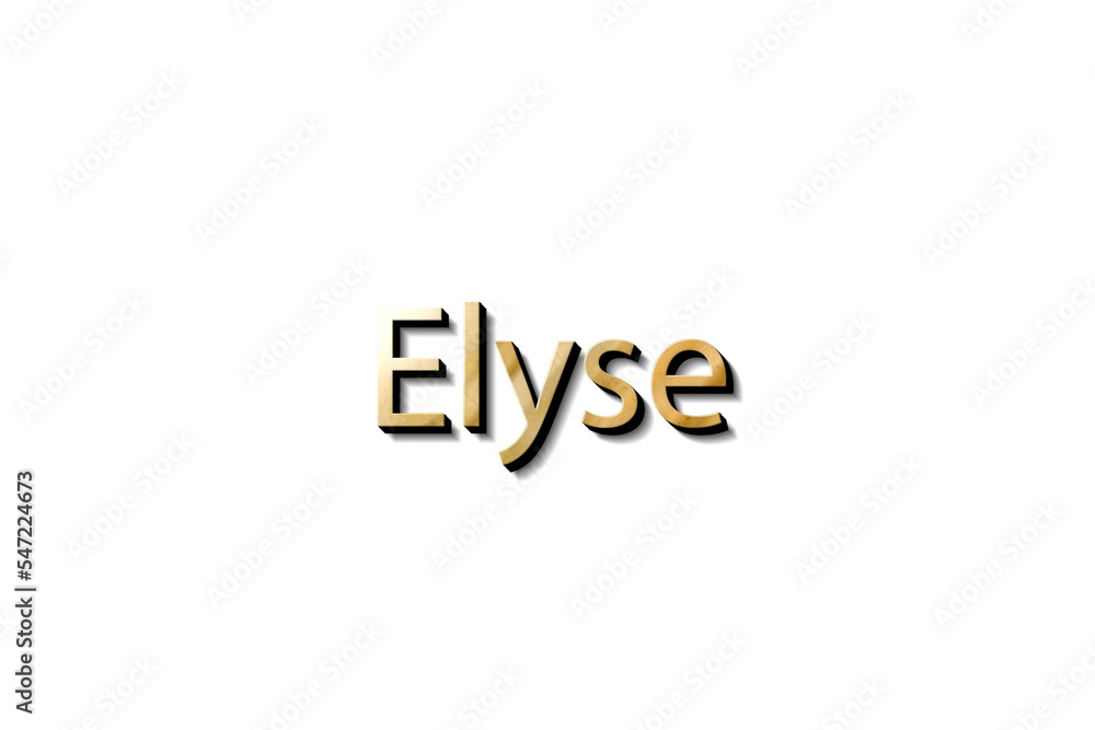 ELYSE 3D MOCKUP ELYSE 3D MOCKUP