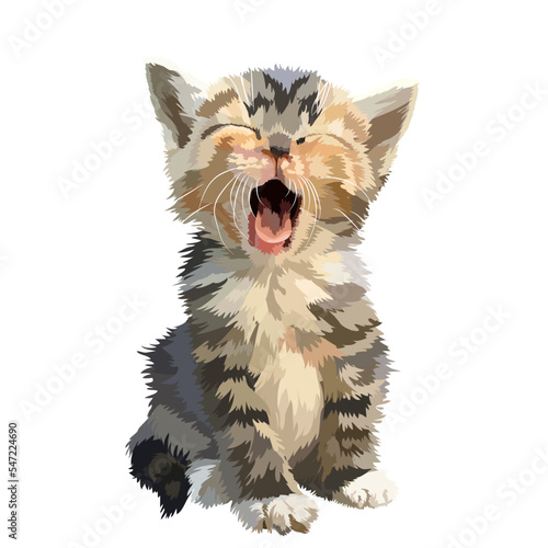 Little fluffy kitten yawns widely