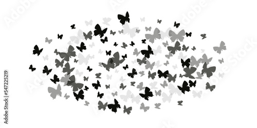 Fairy black butterflies isolated vector wallpaper. Summer pretty insects. Fancy butterflies isolated fantasy illustration. Delicate wings moths graphic design. Tropical creatures.