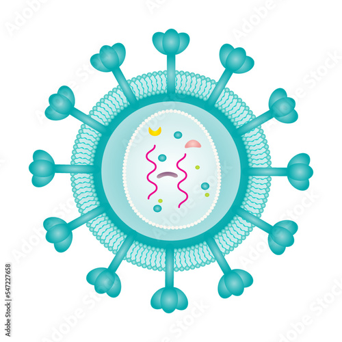 Retrovirus Structure vector illustration graphic template