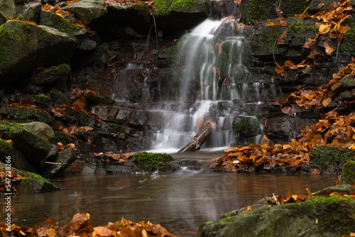 Mountain forest in the Beskids just before the onset of winter