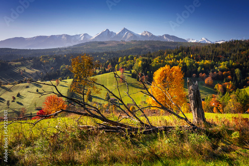 Fototapeta Naklejka Na Ścianę i Meble -  Beautiful autumn with red trees under the Tatra Mountains at sunrise. Slovakia