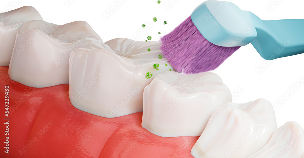 Human teeth and toothbrush, dental cleaning technique, 3d rendering. Dental care, Oral hygiene. Medical 3d illustration. Transparent background, PNG file