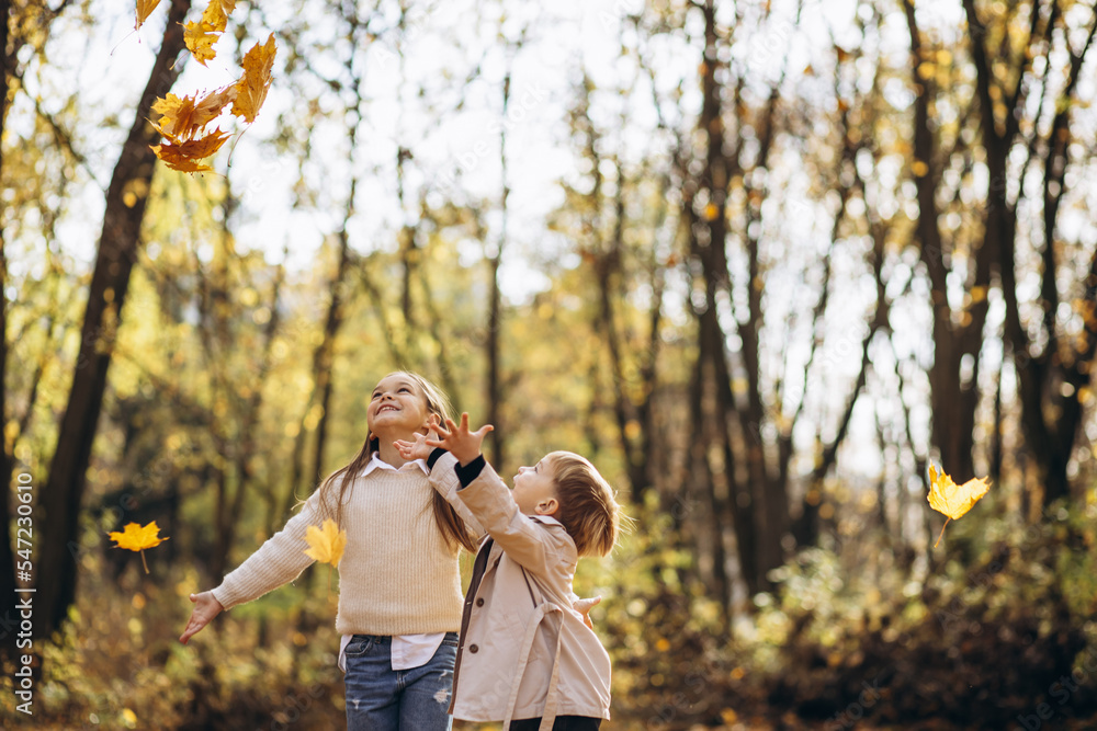 Brother with sister together in autumn park Brother with sister together in autumn park