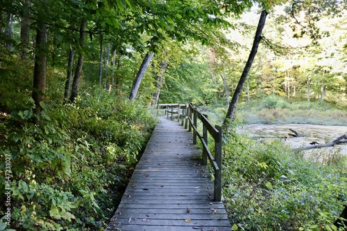 The empty boardwalk bridge in the forest.