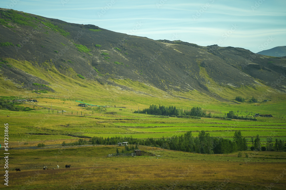 Grüne Vulkanlandschaft auf Island