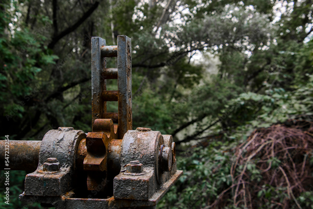 Rusty gear of an old dam in the forest