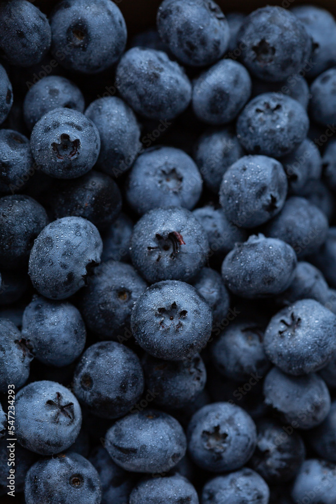 Food background blueberry close up summer Food background blueberry close up summer