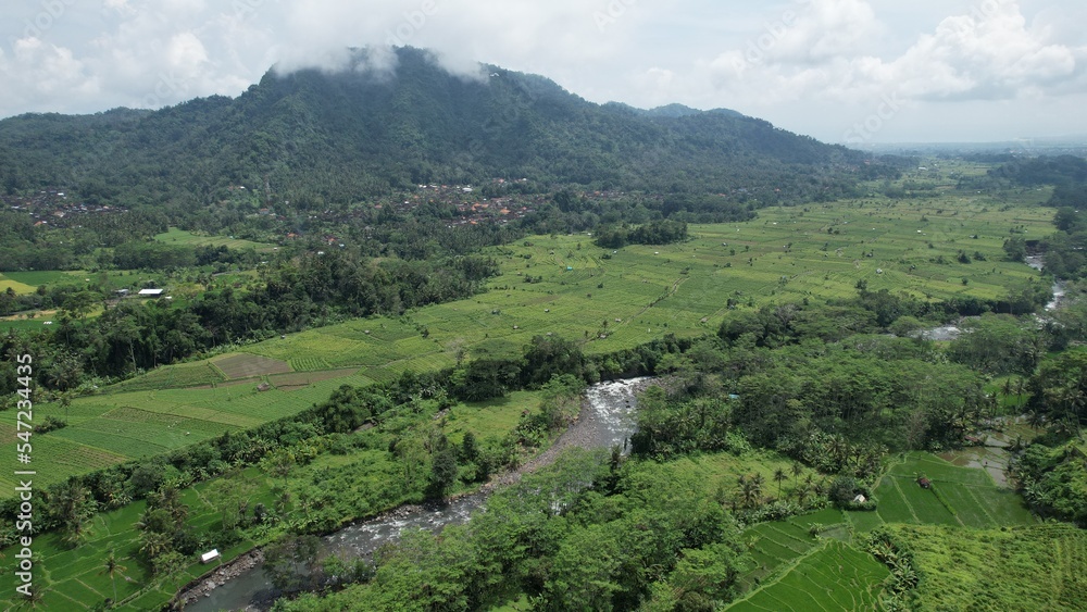 Bali, Indonesia - November 13, 2022: The Bali Terrace Rice Fields