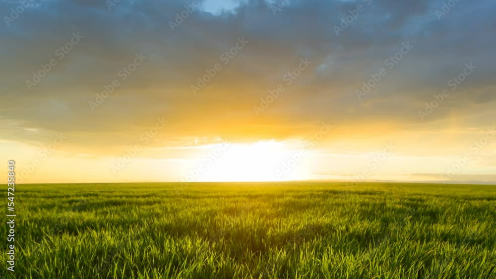 green summer rural field at the sunset, countryside agricultural natural time lapse scene green summer rural field at the sunset, countryside agricultural natural time lapse scene