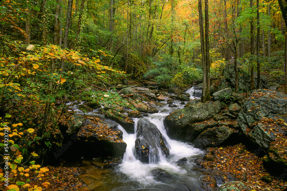 Small stream and waterfall in North Georgia during the fall season.  Autumn leavescolor the trees and streambed.