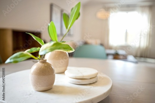 Closeup of decorative plants on a marble salver