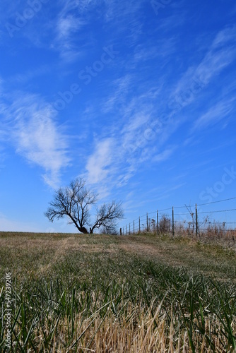 Clouds in a Blue Sky Over a Field